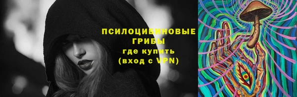 бошки Алексин