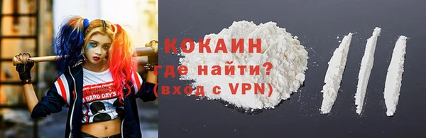 бошки Алексин