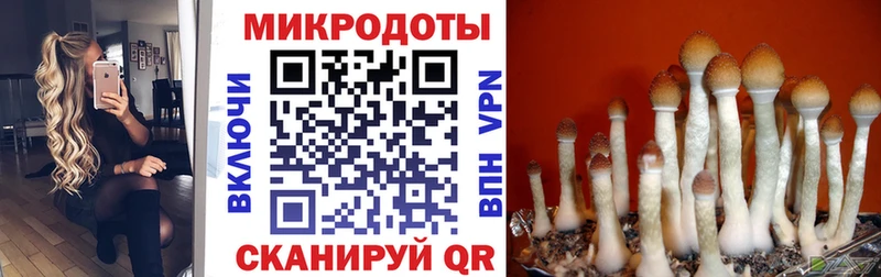 Псилоцибиновые грибы мухоморы как найти наркотики mega зеркало Бежецк